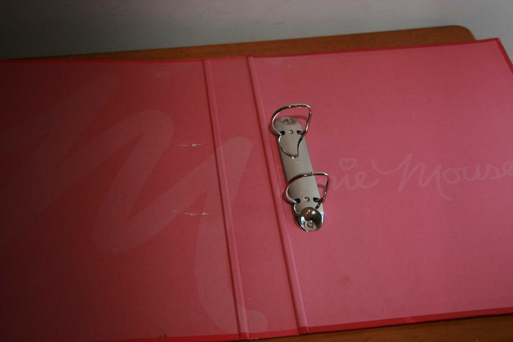 Dossier Minnie Disney