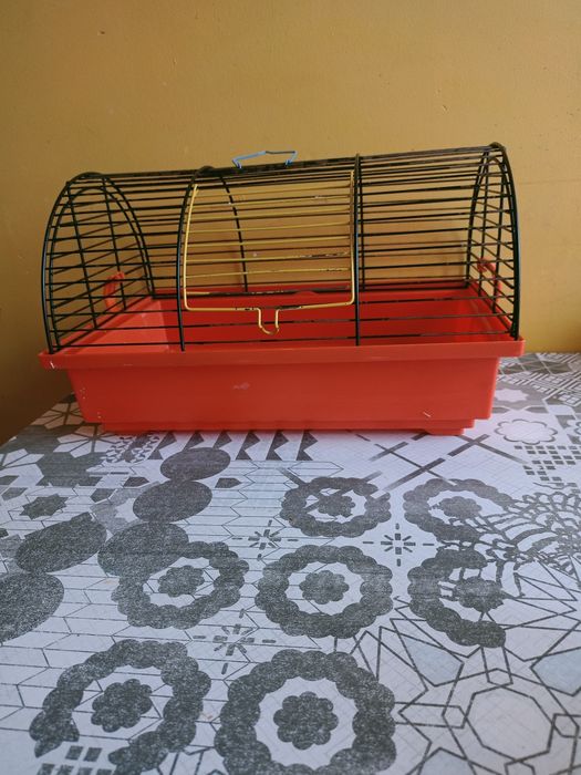 Klatka dla chomika czy myszy