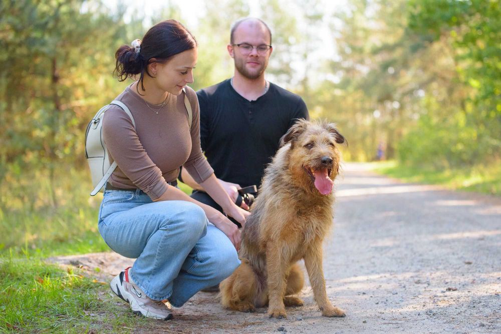 Dostojny Makesh w typie terriera szuka domu