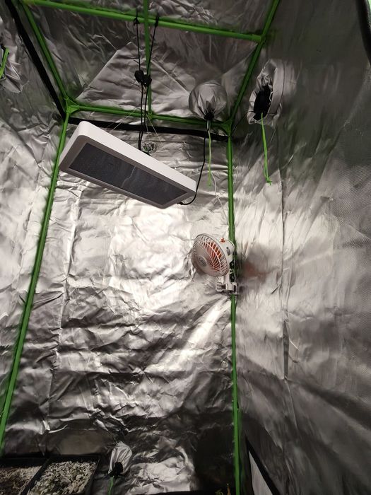 Estufa interior(grow indoor) 1m quadrado por 2m de altura