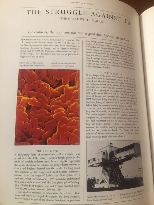 A history of medicine - from prehistory to the year 2020