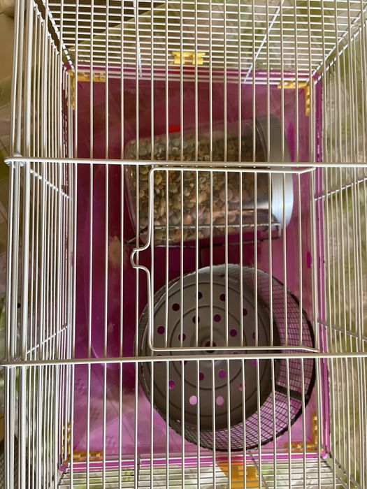 Gaiola hamster semi nova