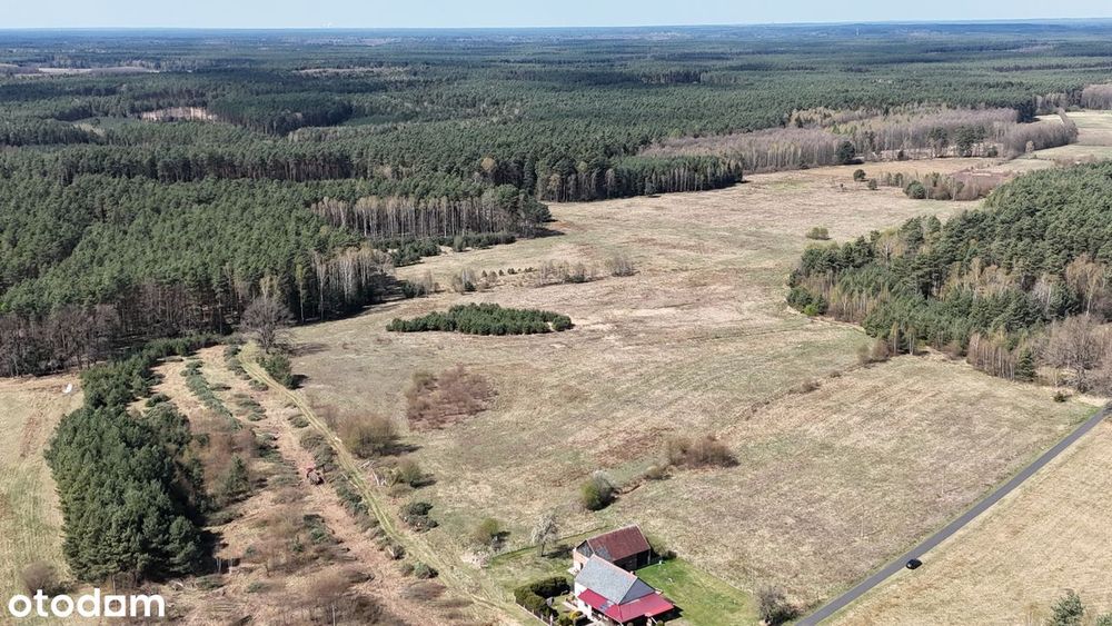 Działki - Osada w Borach Dolnośląskich - Widok 2