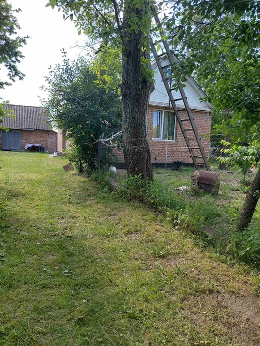 Продам хату в центрі села