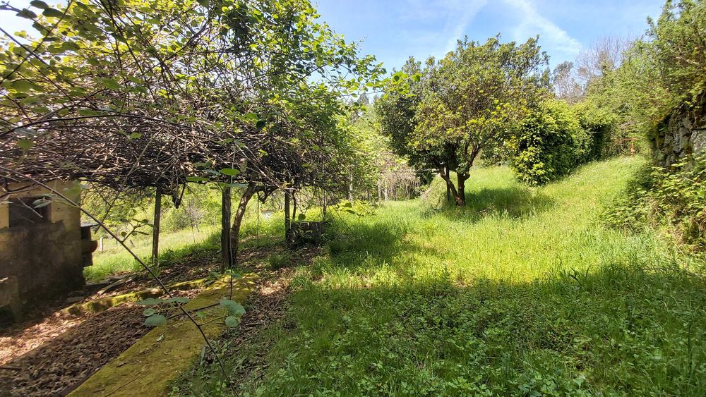 Propriedade 1 Hectare Serra do Caramulo