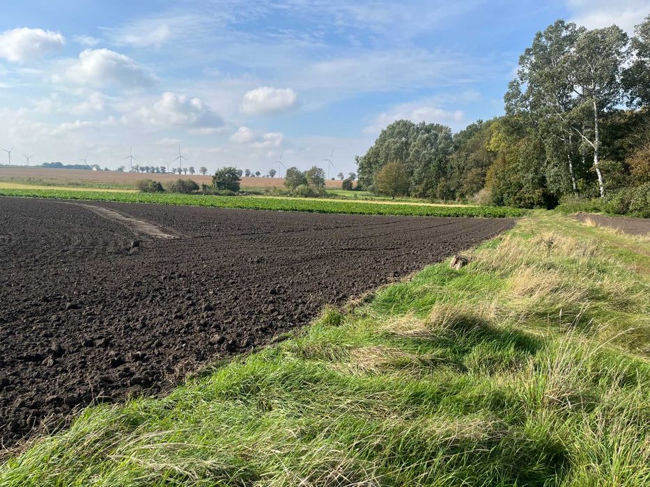 Działka 17702,27 m2 z warunkami zabudowy na trzy domy.