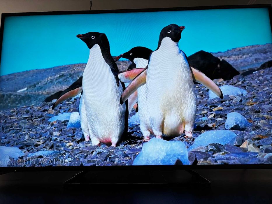 Telewizor Panasonic TX-55AX630 55" 4K UHD Smart TV– 3D, Wi-Fi,YouTube,