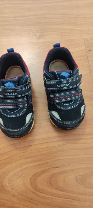Sapatos Geox número 21