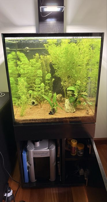 Aquario completo 100l