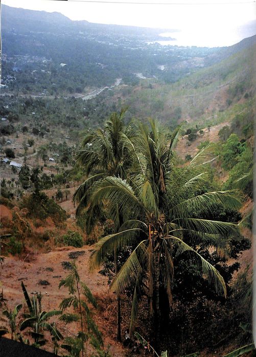 "12 Dias Com os Mártires do Silêncio" de Inácio Ludgero [Novo]