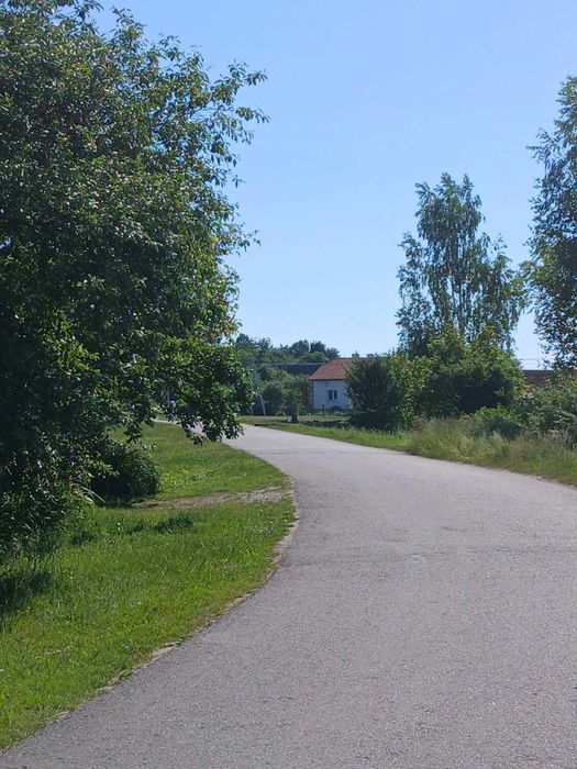 Продаж Квартири Підберізці