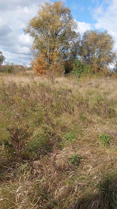 Продам 19 соток землі. Чернівці - Сторожинець