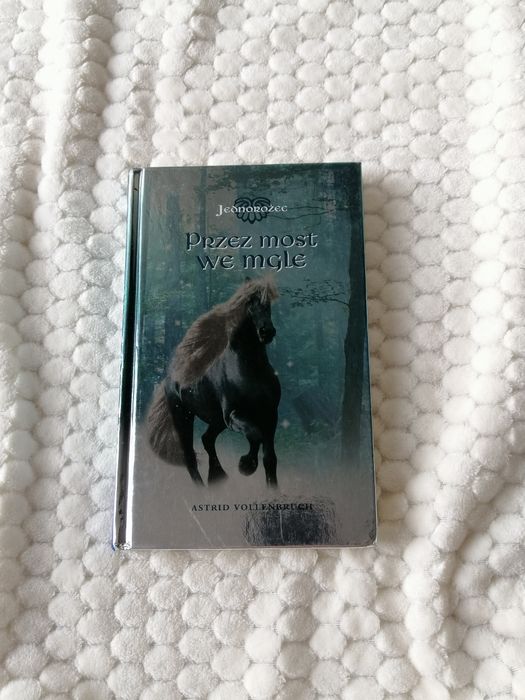 Przez most we mgle - jednorożec - Astrid Vollenbruch