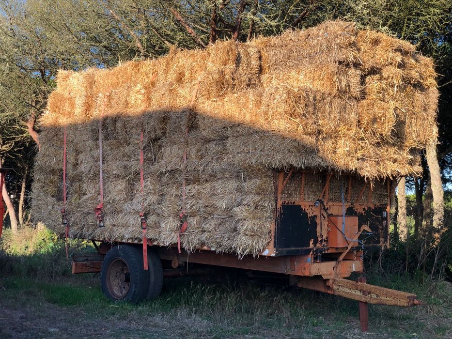 Vendo fardos de feno