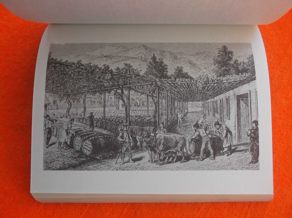 A Madeira Vista Por Estrangeiros 1455/1700 - António Aragão