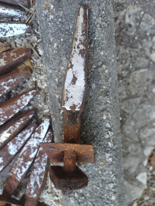 Bicos de charrua antiga