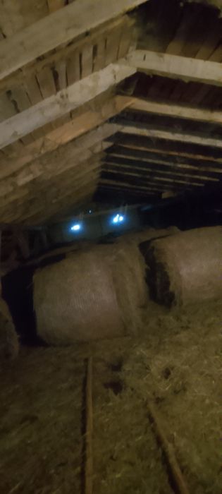 SPRZEDAM SIANO 130/120 cena 100zł