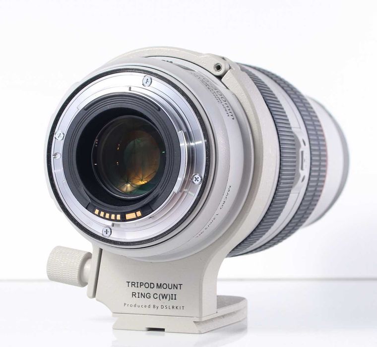 Canon EF 70-300  f/ 4-5,6 L IS USM