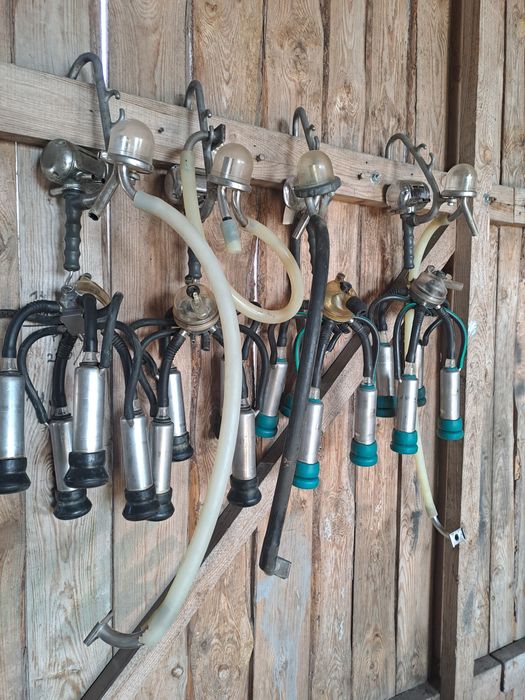 Aparaty udojowe westfalia