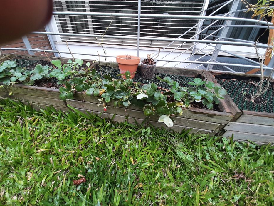 Dá-se 3 floreiras de madeira