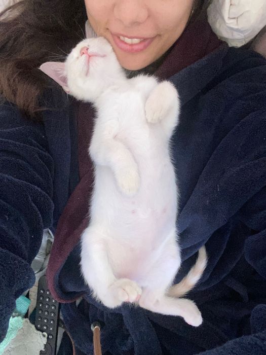 PET SITTING & Passeio em Fronteira