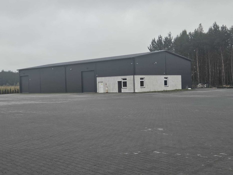 Wynajmę halę magazynową 1000m2