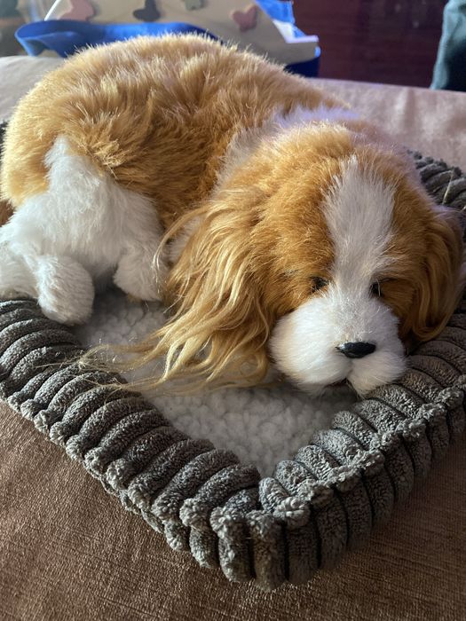 Cão de peluche que ronca