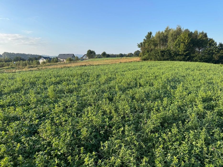 Działka Ramleje 1.5 km od Ostrzyc