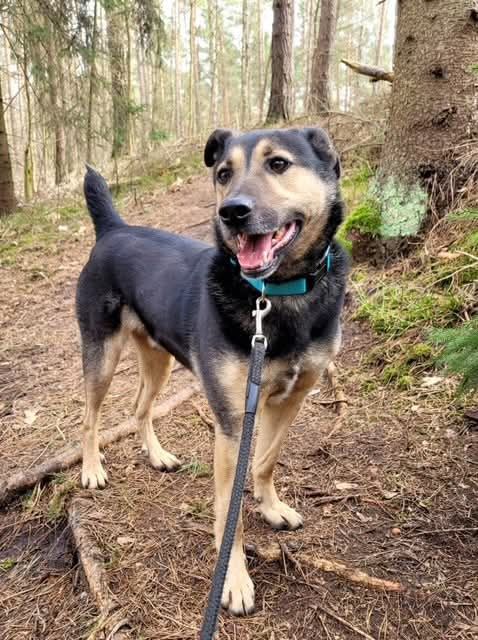 Lemo - Niewidzialny od lat