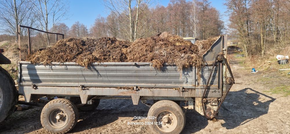 Obornik bydlęcy i koński