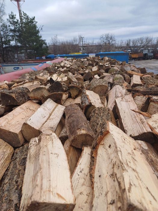 Дрова дубовые, ясень, сосна — оптом и в розницу с доставкой