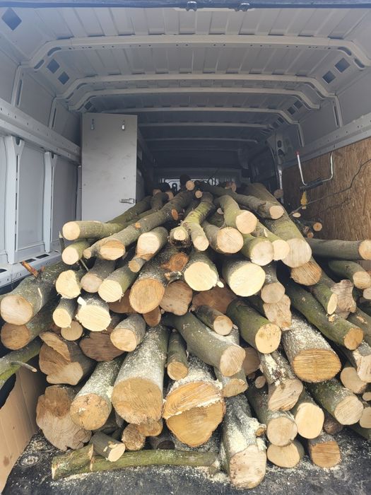 Drzewo opałowe, kominkowe liściaste Dąb, Grab