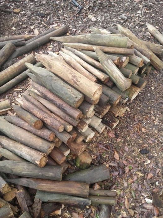 Paus usados para venda