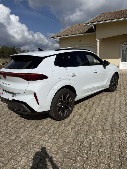 Cupra Terramar hybrid — photo 3