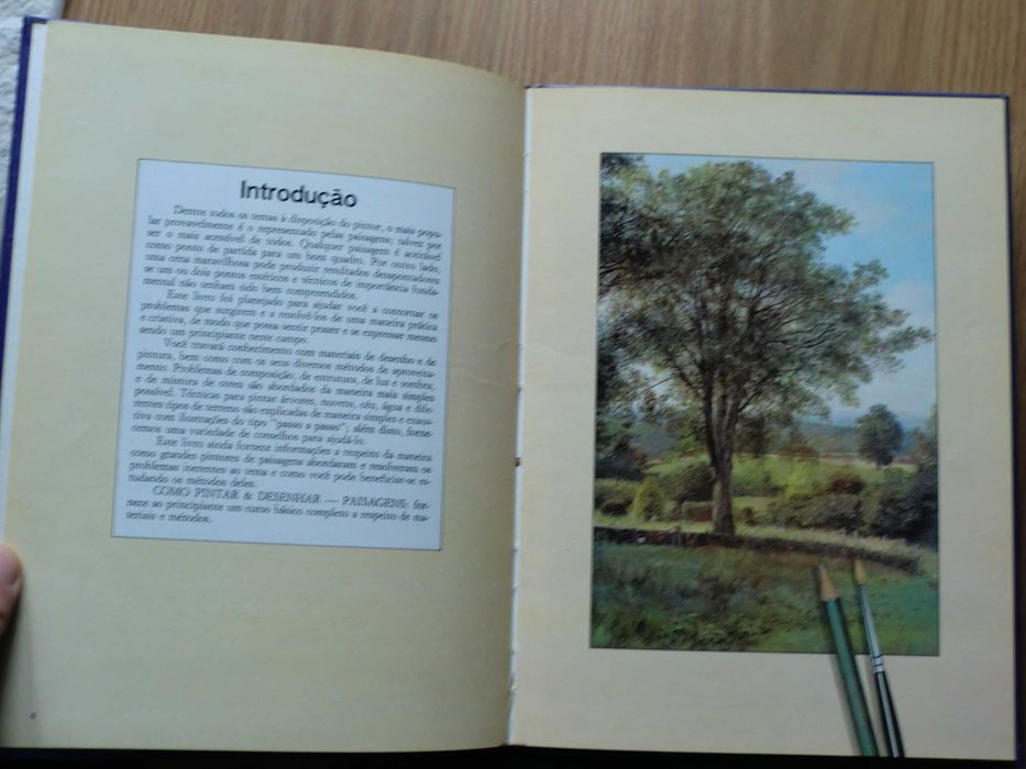 Como pintar & Desenhar