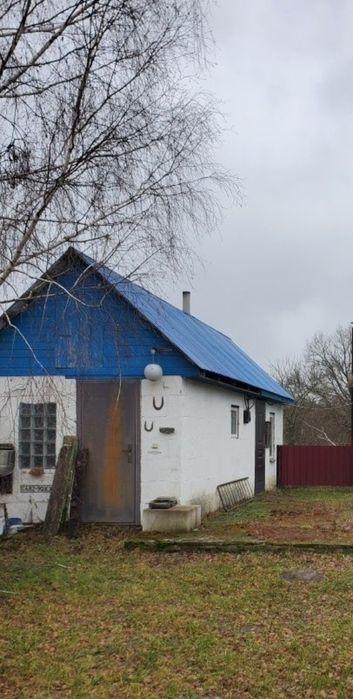 Будинок в селі. Природа, ліс, ставок.