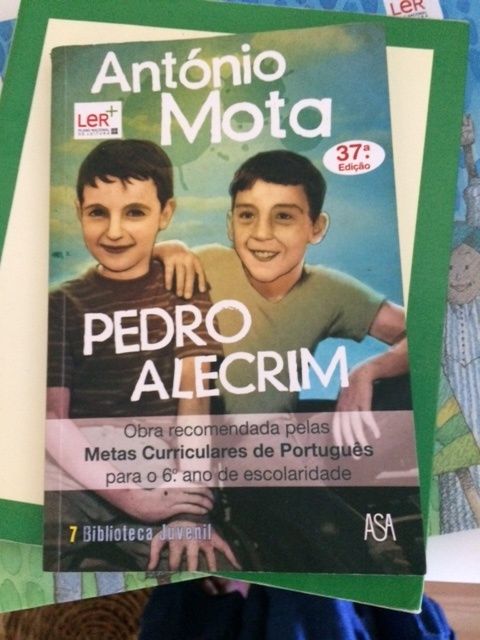 Livros diversos  para crianças/adolescentes
