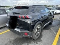 Peugeot  e2008  eletrico Ano 2022