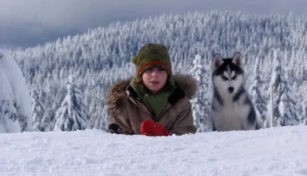 SNOW BUDDIES - Aventuras na Neve (Os adoráveis cachorros da DISNEY)