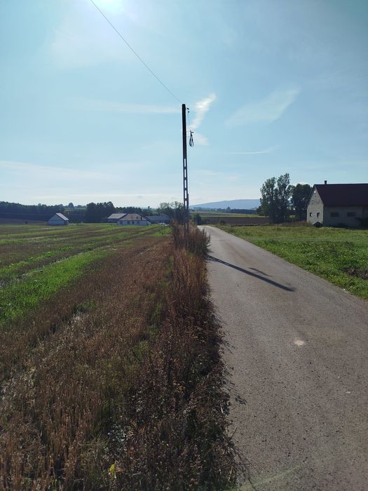 Sprzedam działkę przy drodze wojewódzkiej