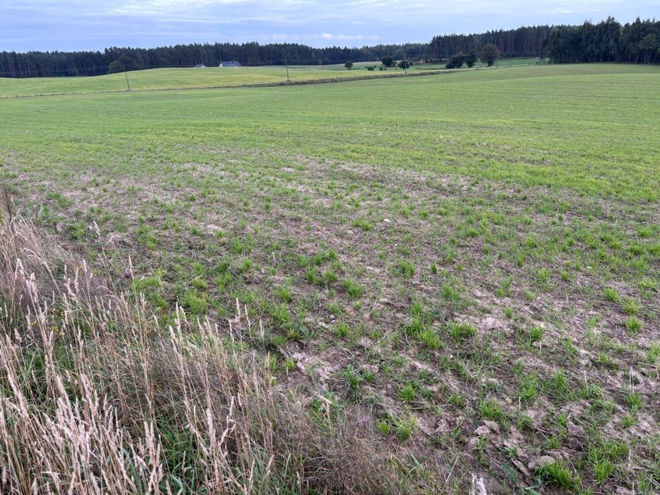Działka budowlana Szymbark