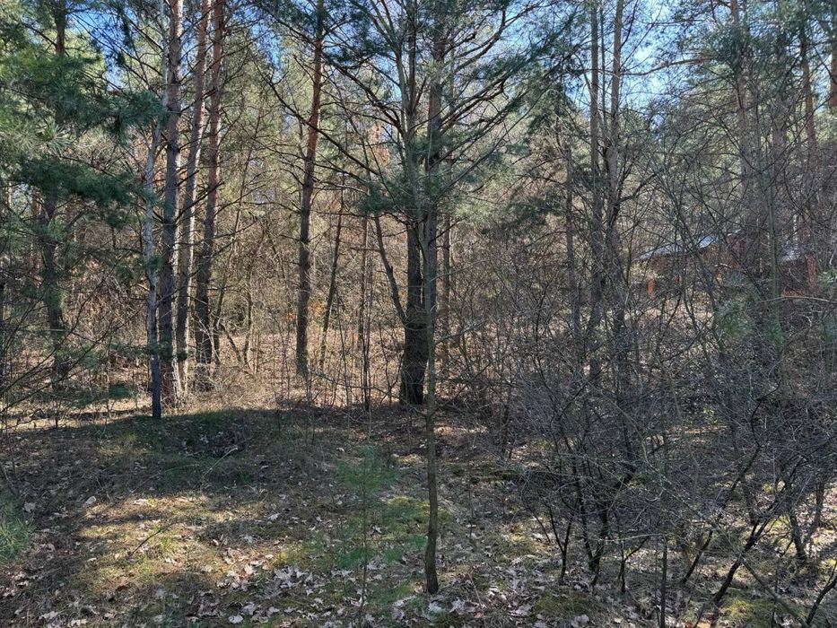 25 соток с. Ярошівка Фастівський район