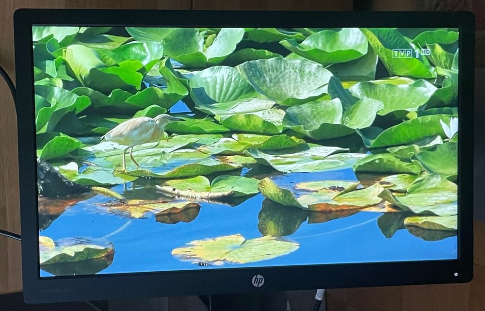 Monitor HP E232 iPS stan bd