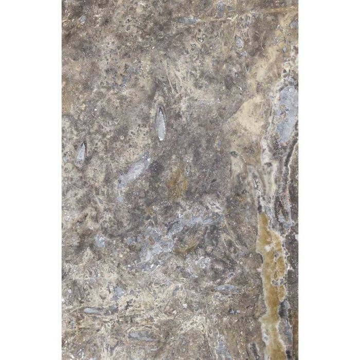Płytki Trawertyn Silver Ash szlifowane i wypełniane 61x40,6x1,2 cm szary trawertynu beżowy gładki wypełniony płytka