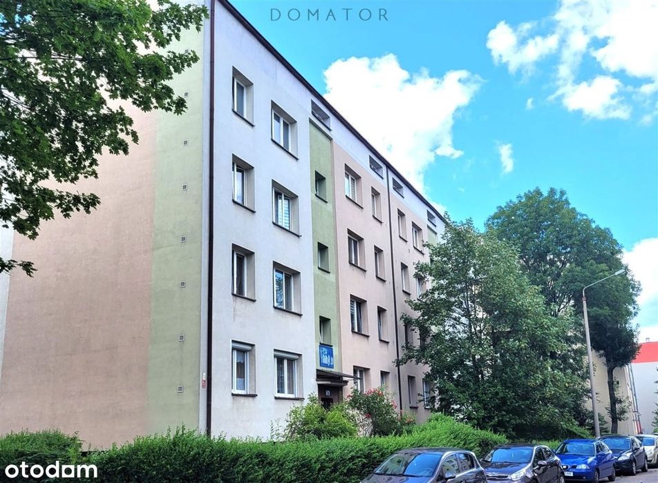 Dwa duże pokoje, widna kuchnia, dużo zieleni