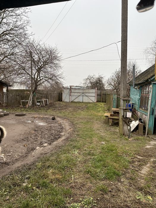 Продаж будинку з ділянкою 25 соток  с. Небелиця, Київська область