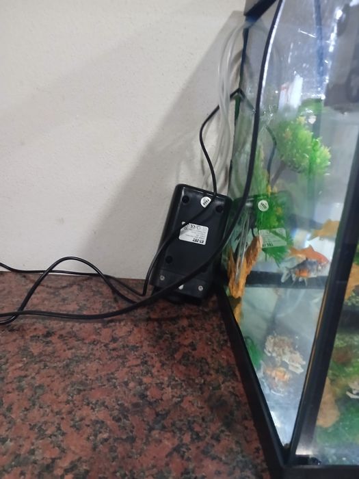 Vendo aquario com tudo que esta na foto (incluindo peixes)