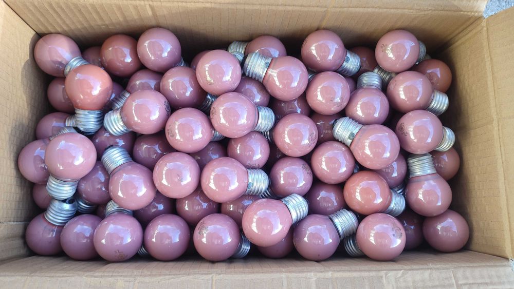 Lâmpadas Arraial Gambiarras E27