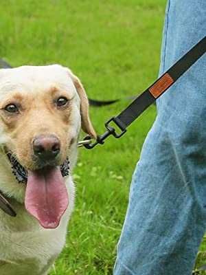 LOOXMEER Smycz Treningowa Dla Psa 20M Czarna NrZw19