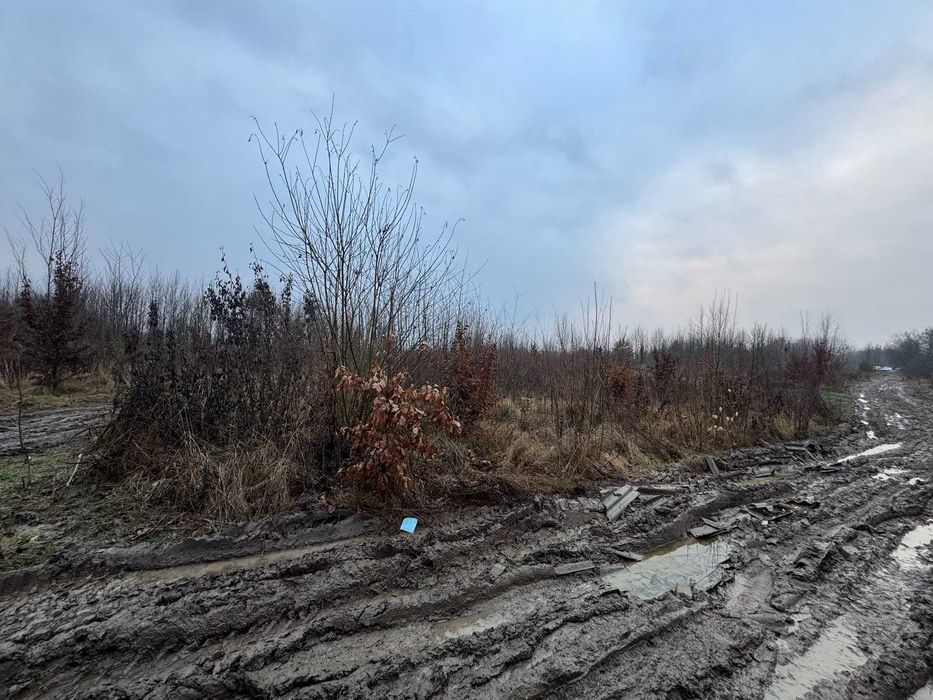 Продаж земельної ділянки в Якушинцях